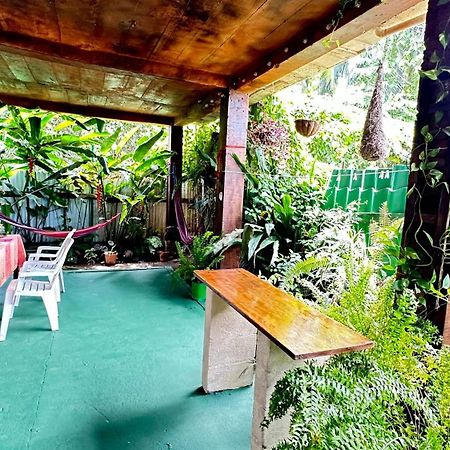 Natural Experience House Tortuguero Εξωτερικό φωτογραφία