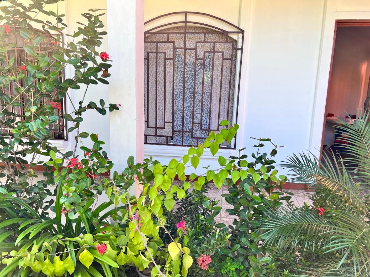Natural Experience House Tortuguero Εξωτερικό φωτογραφία