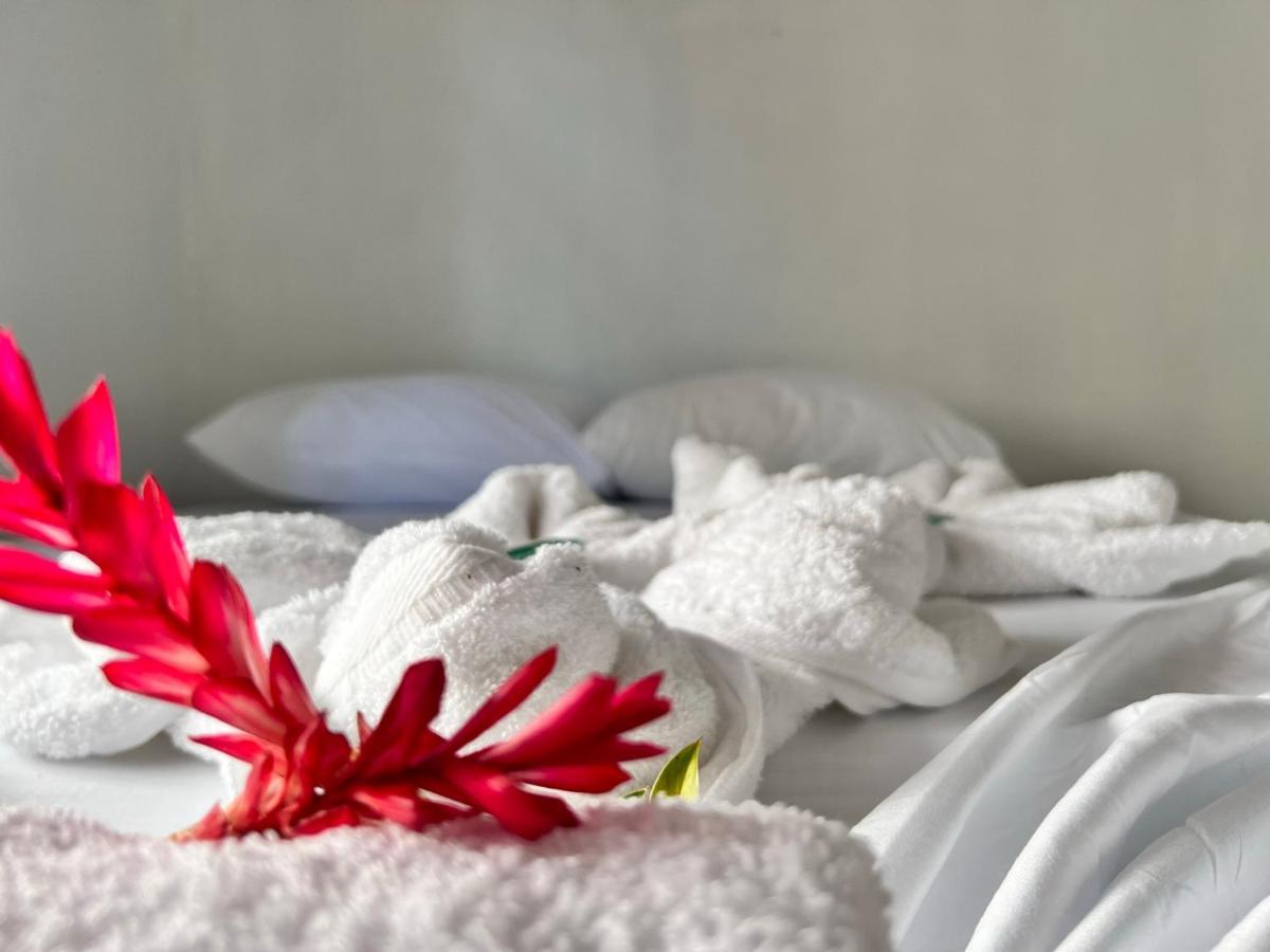 Natural Experience House Tortuguero Εξωτερικό φωτογραφία