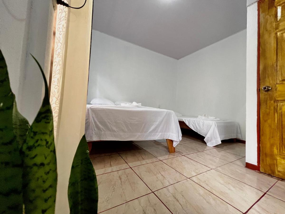 Natural Experience House Tortuguero Εξωτερικό φωτογραφία