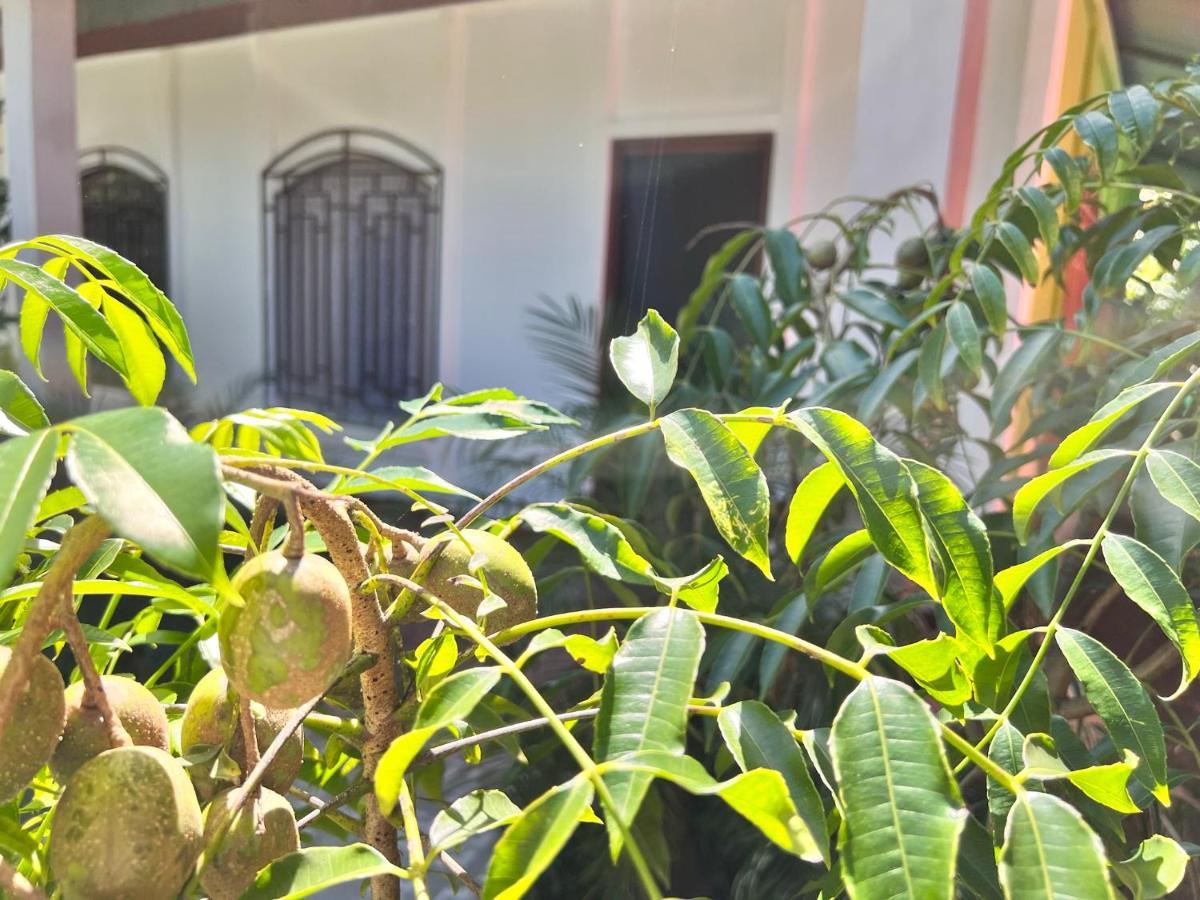 Natural Experience House Tortuguero Εξωτερικό φωτογραφία