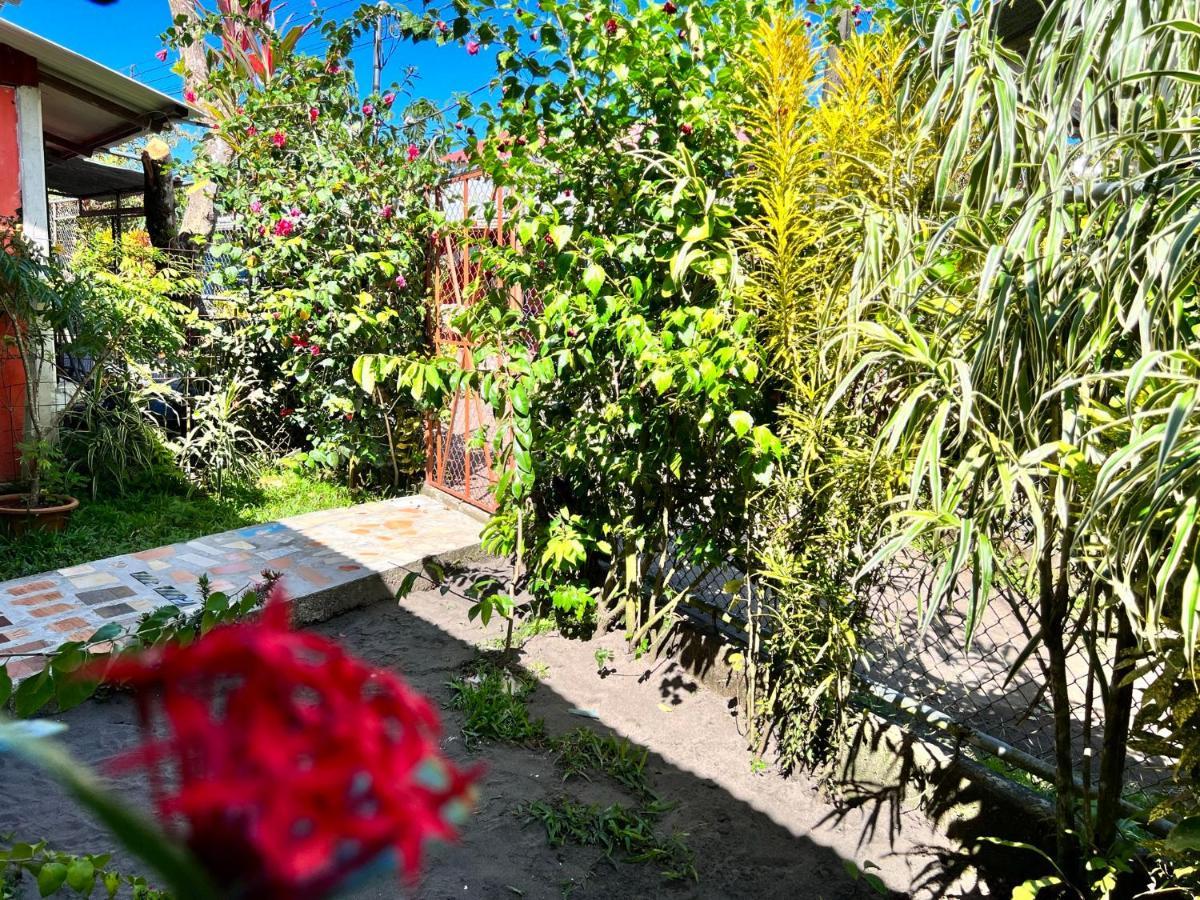 Natural Experience House Tortuguero Εξωτερικό φωτογραφία