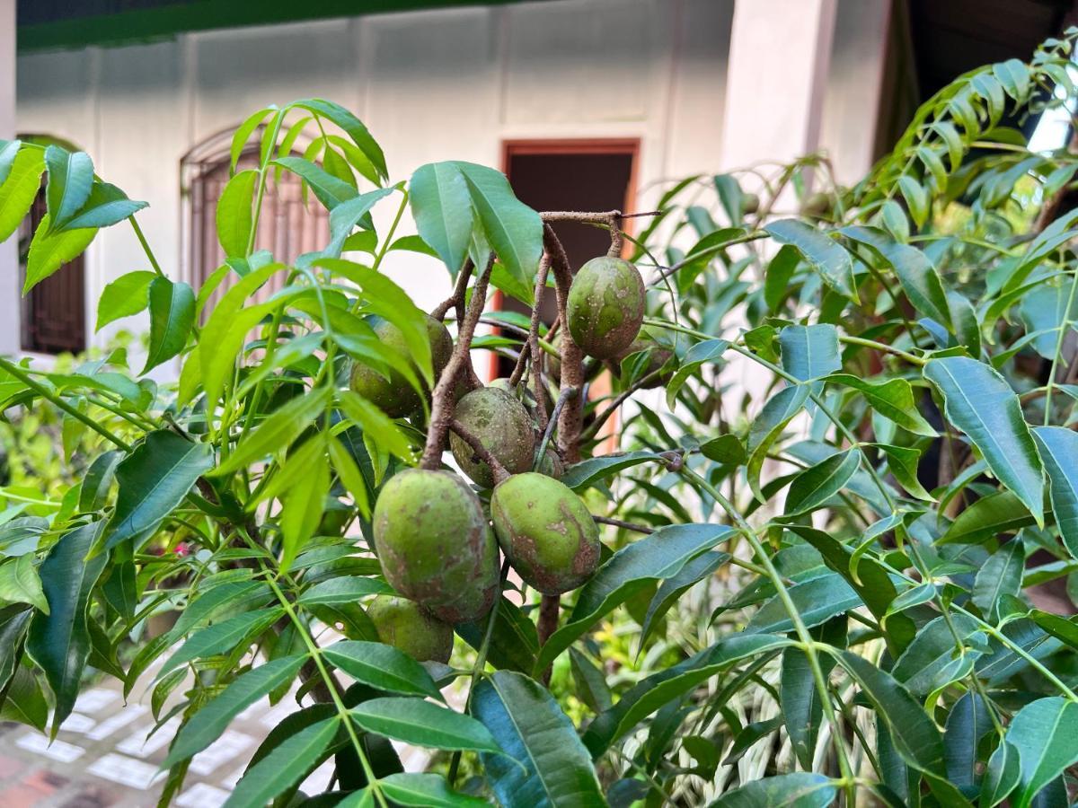 Natural Experience House Tortuguero Εξωτερικό φωτογραφία