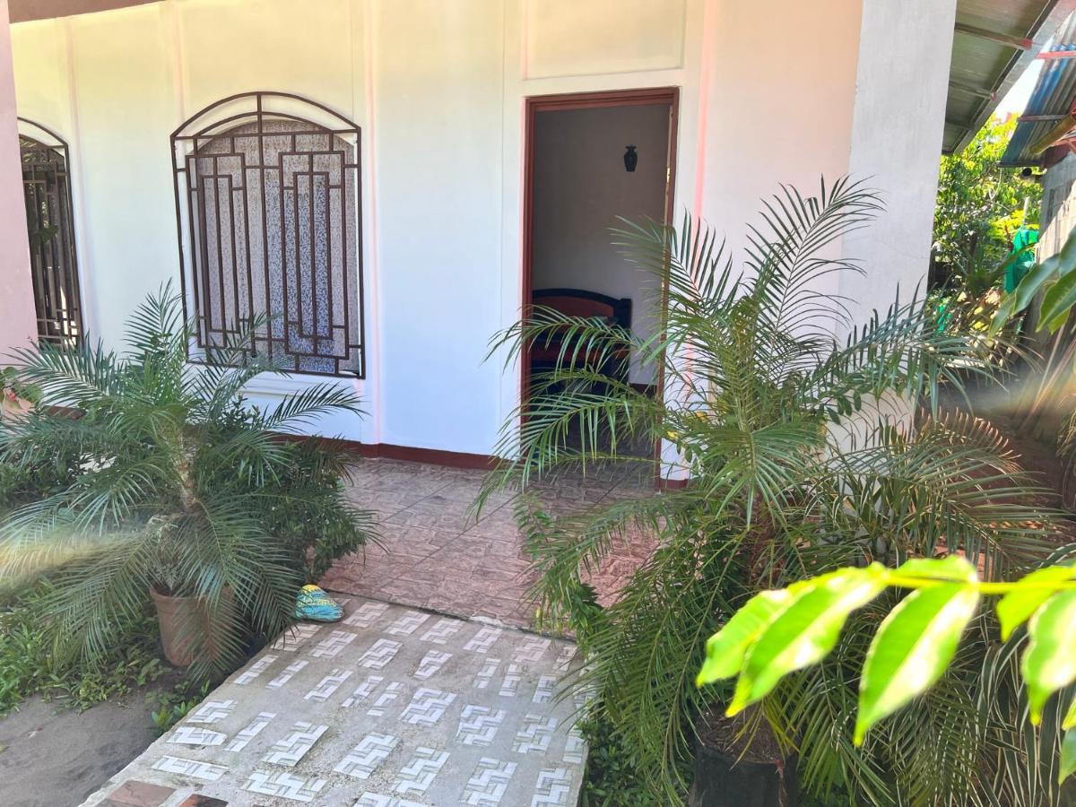 Natural Experience House Tortuguero Εξωτερικό φωτογραφία