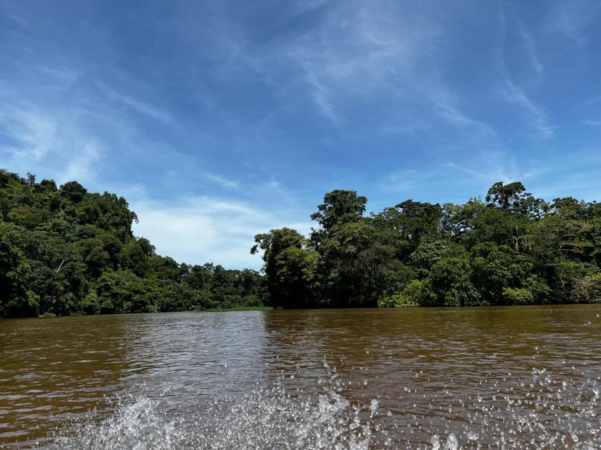 Natural Experience House Tortuguero Εξωτερικό φωτογραφία